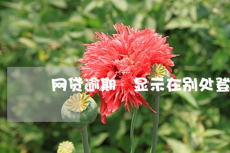 网贷逾期 显示在别处登录 网贷逾期 显示在别处登录